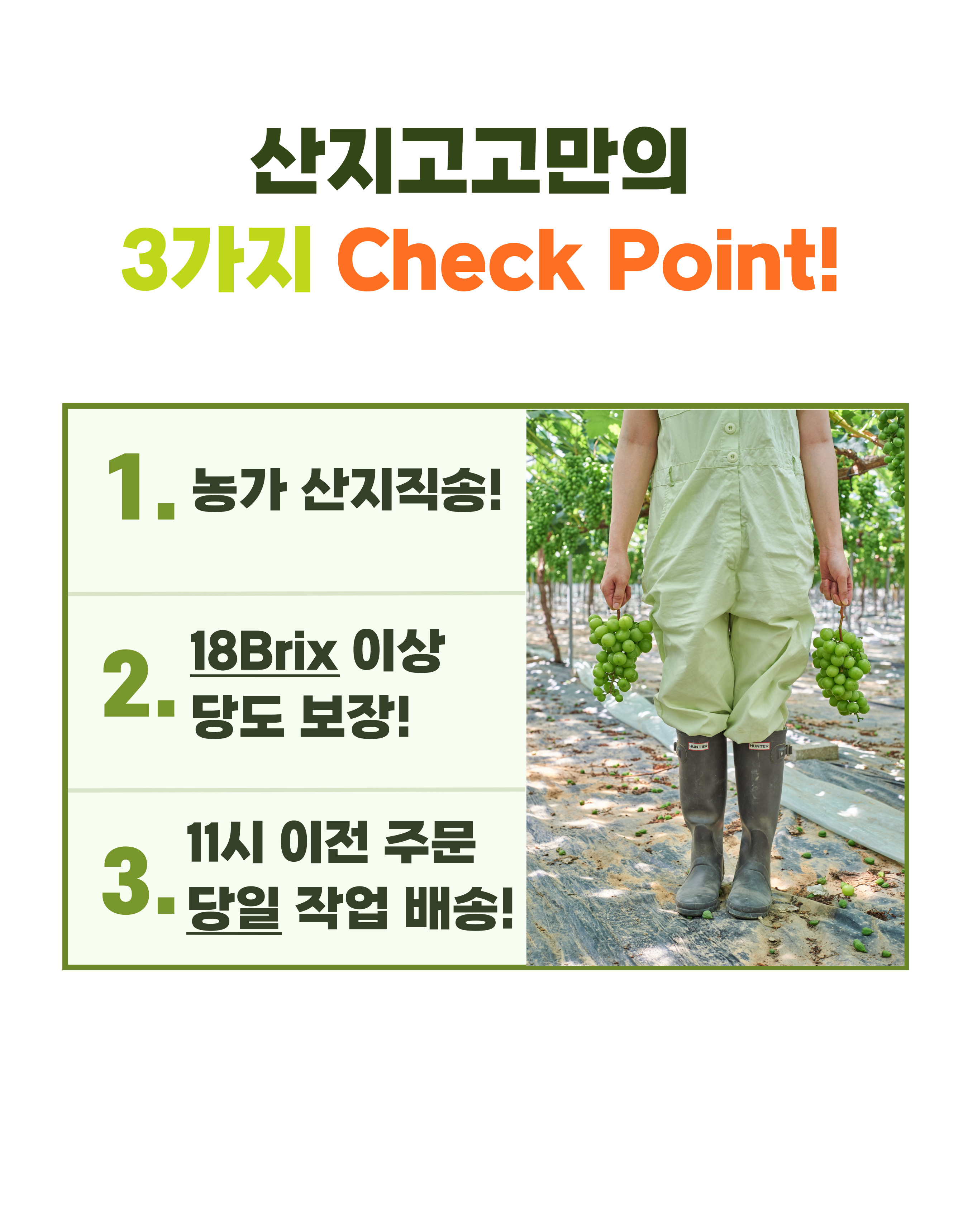 editor이미지