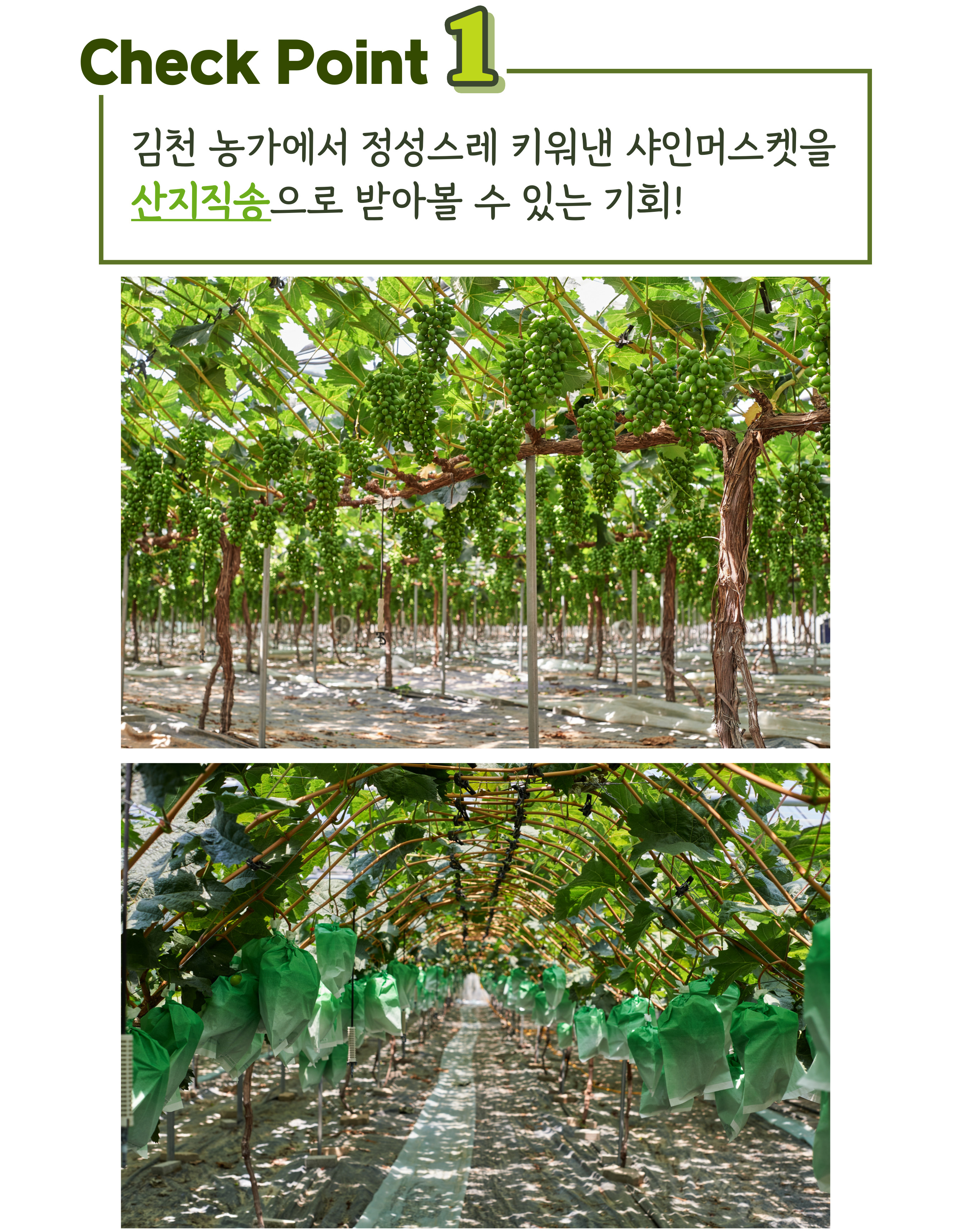editor이미지