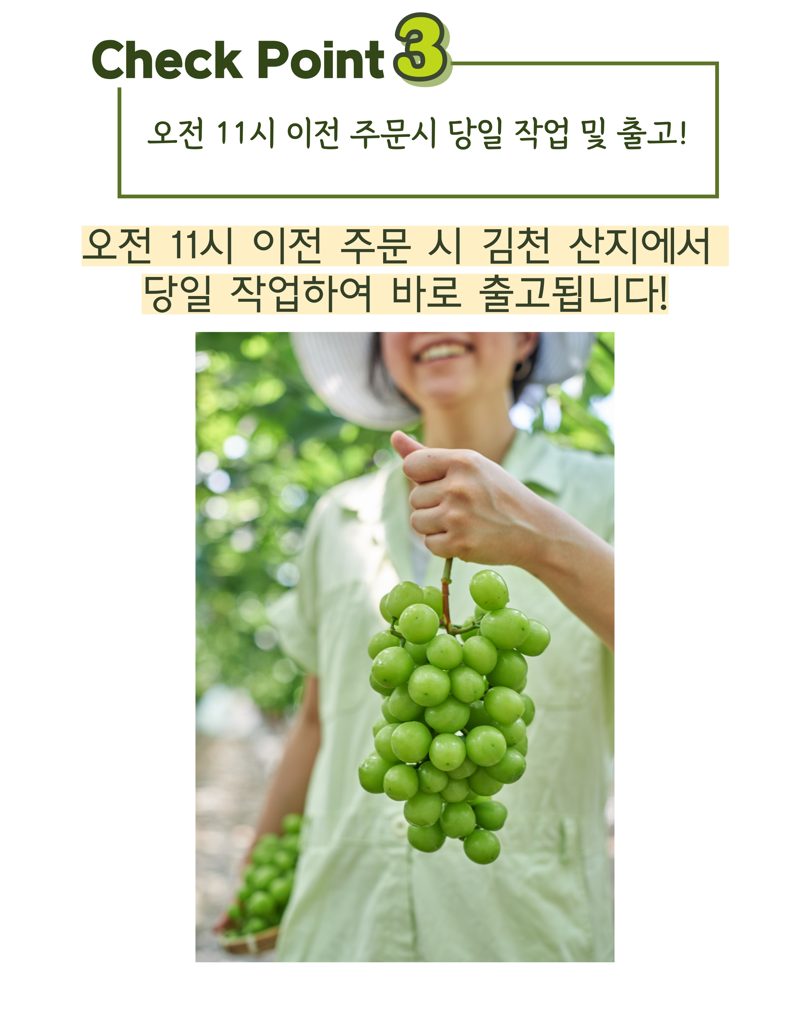 editor이미지