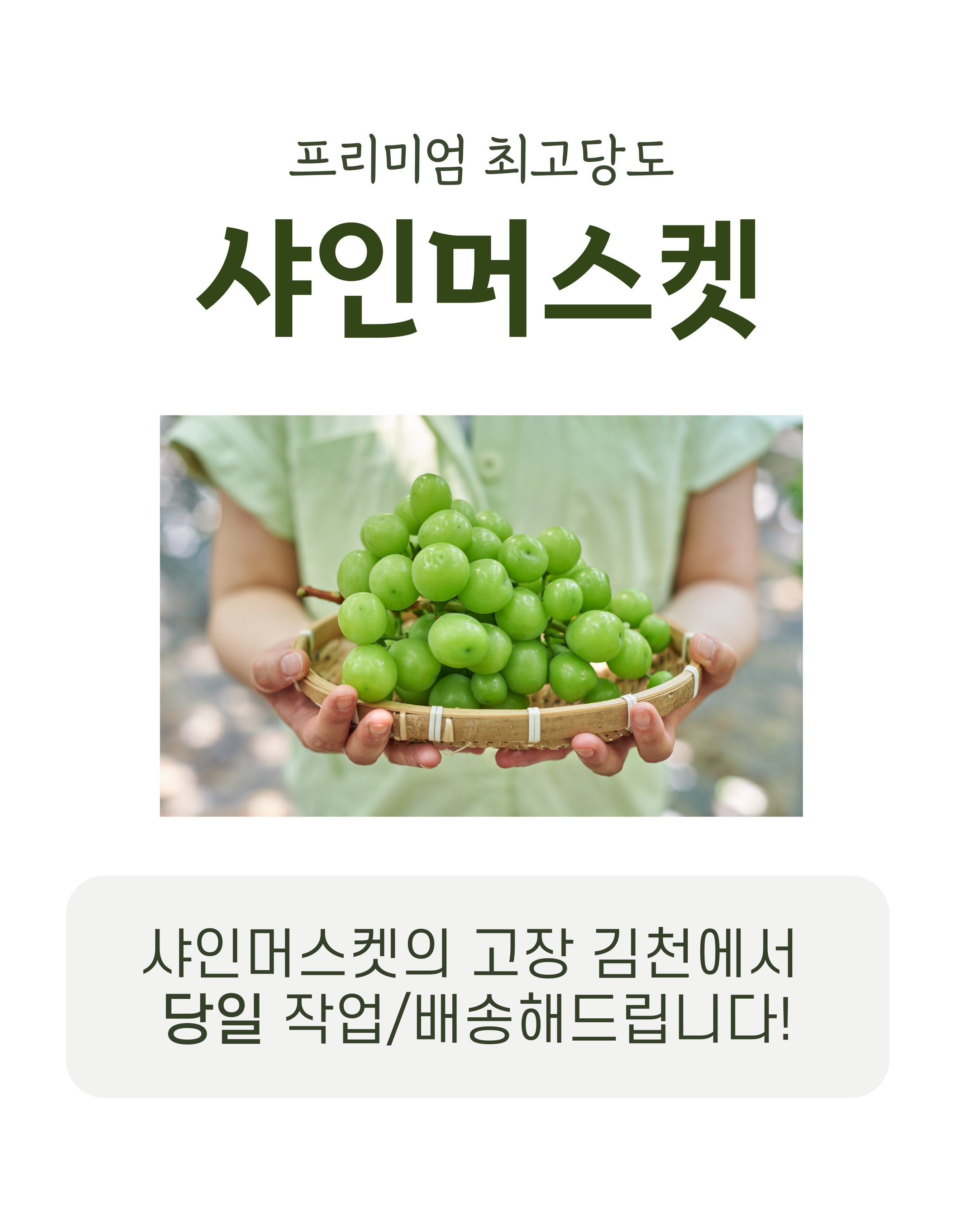 editor이미지
