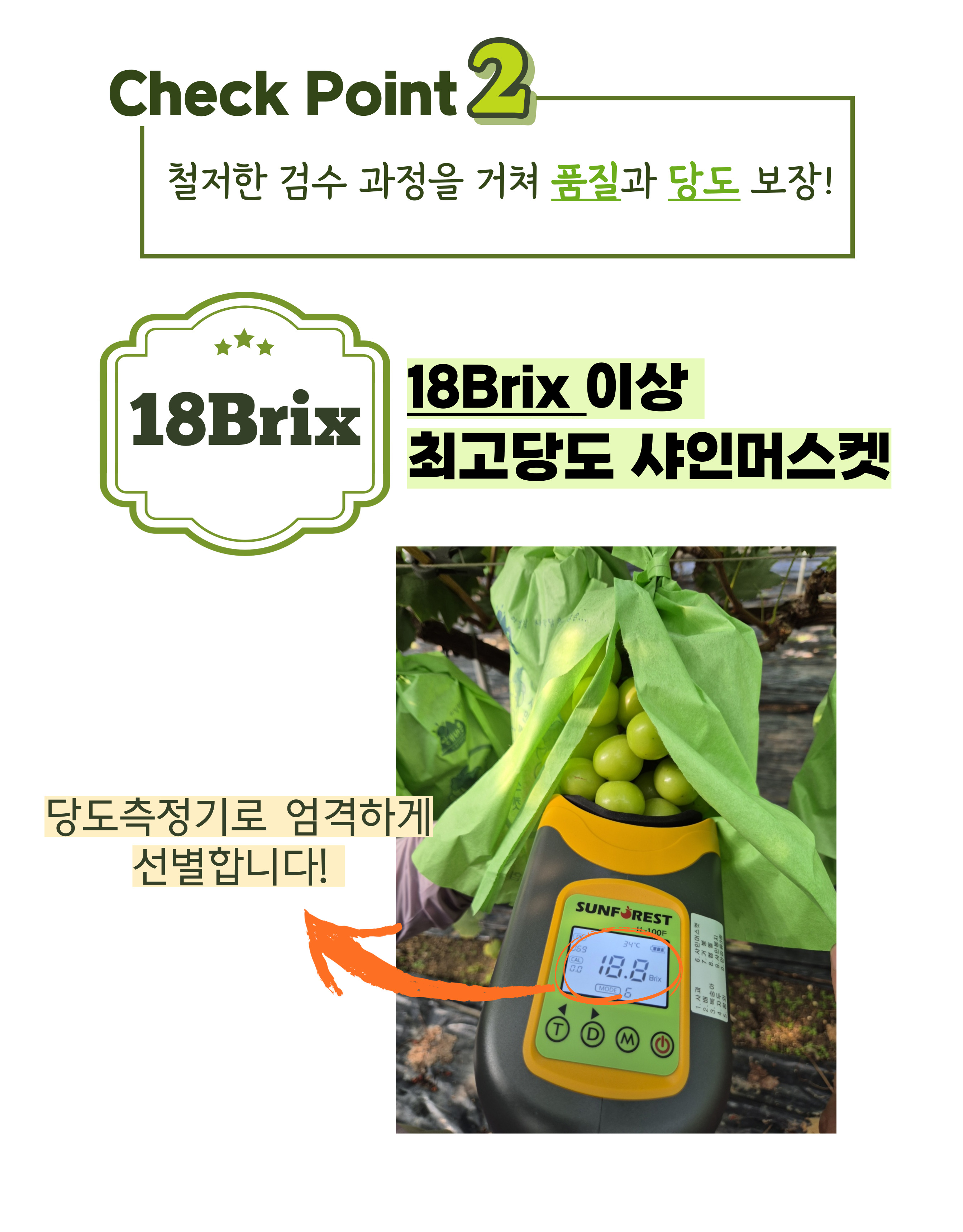 editor이미지