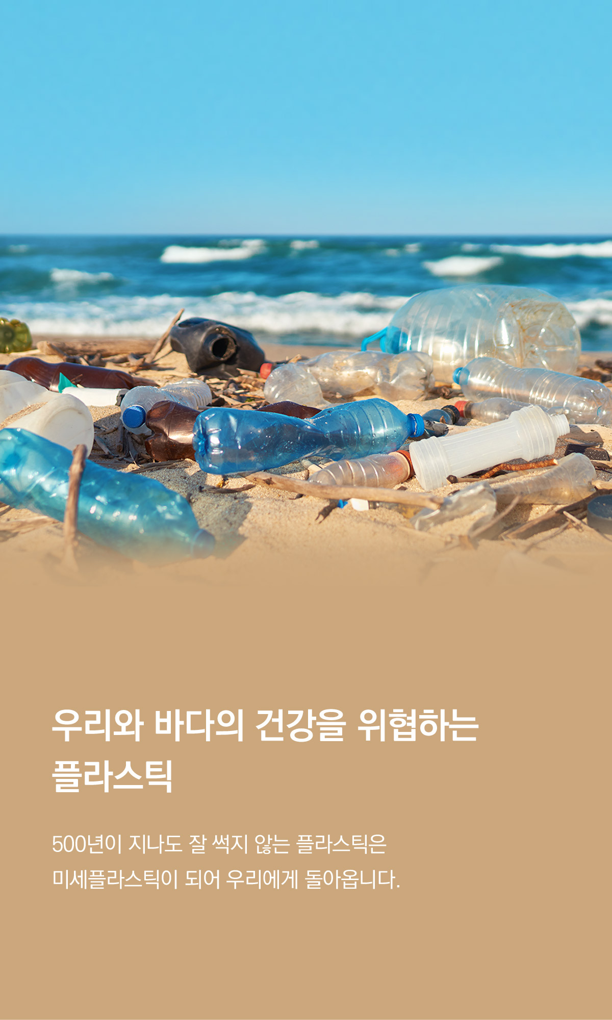 editor이미지