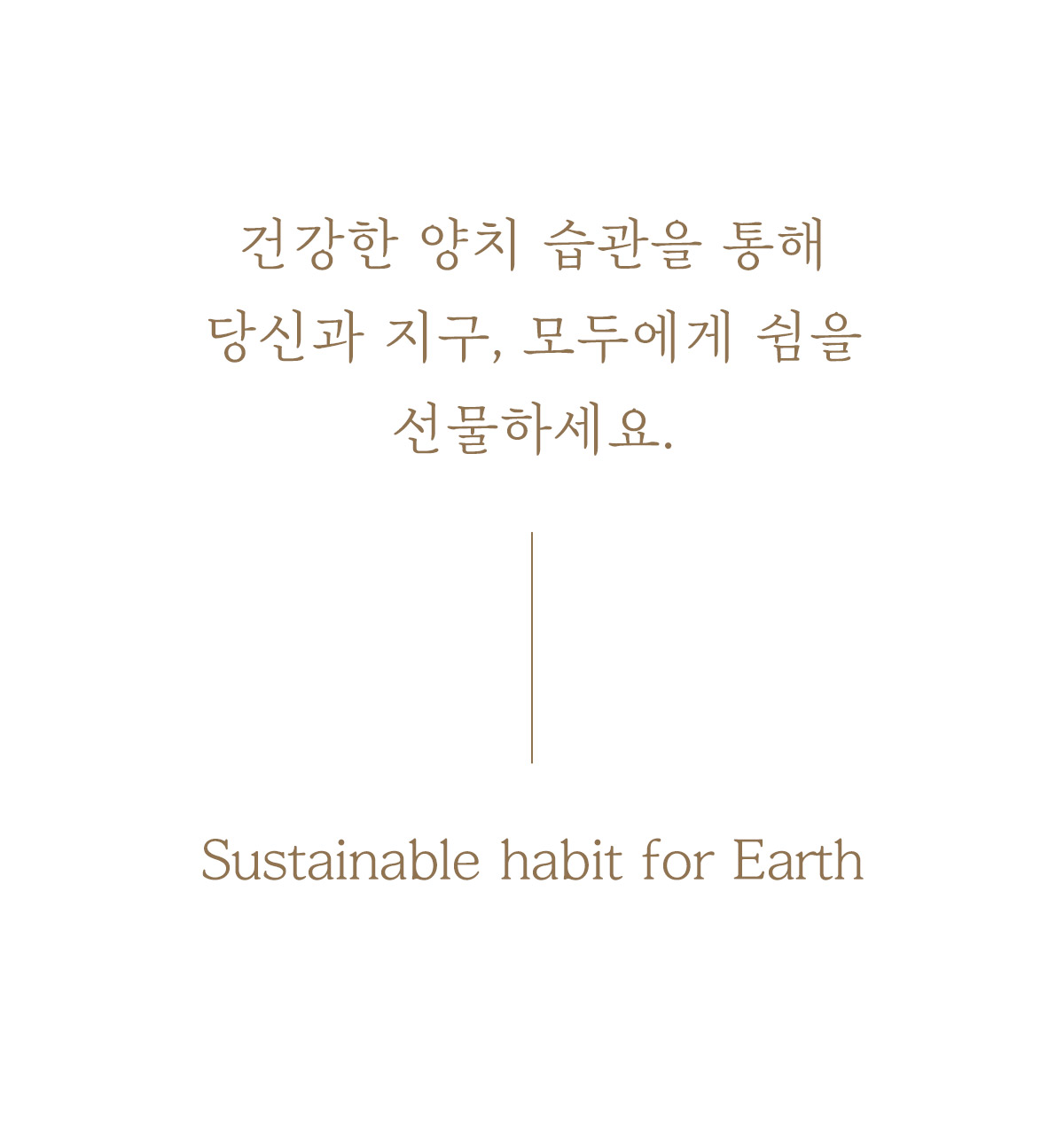 editor이미지