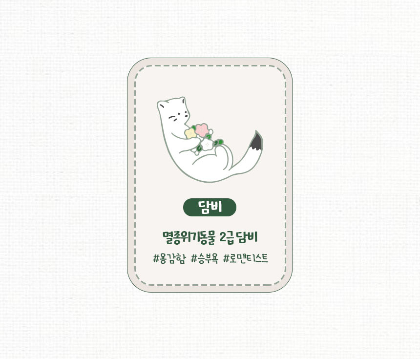 editor이미지