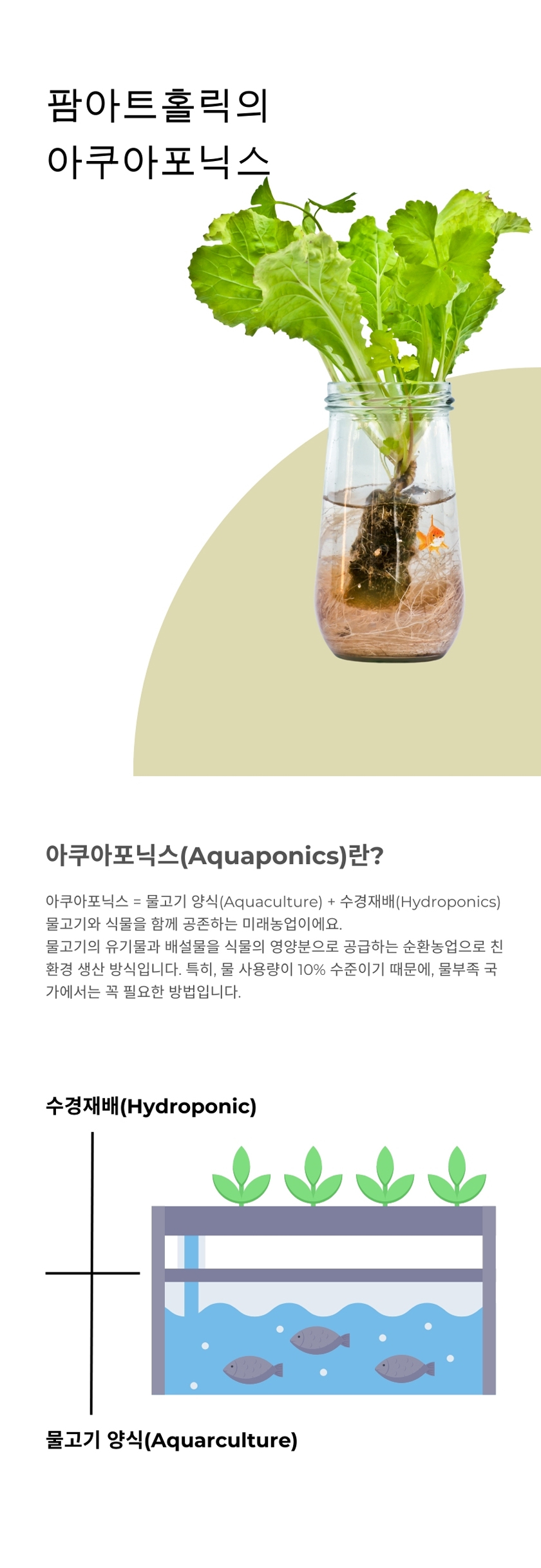 editor이미지