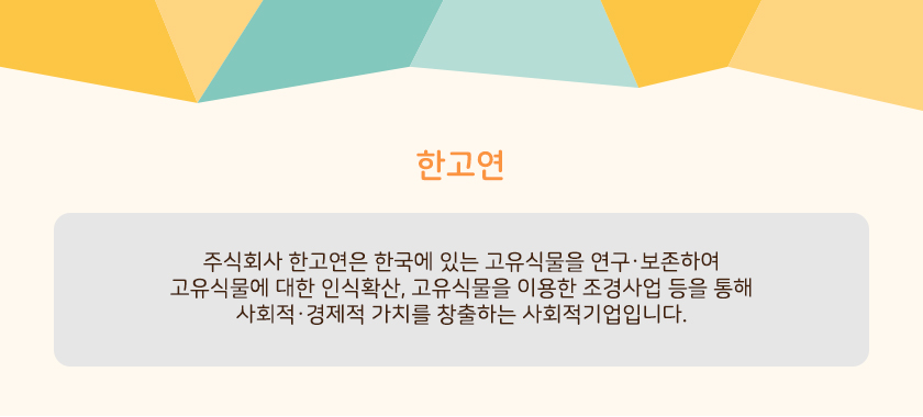 editor이미지